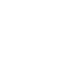 crn-logo-reflection